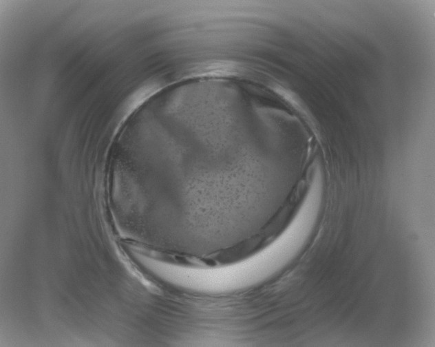 X0000081410850200701261822