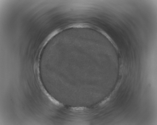 X0000081410853200701261822