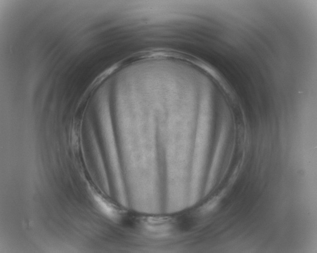 X0000081410857200701261822