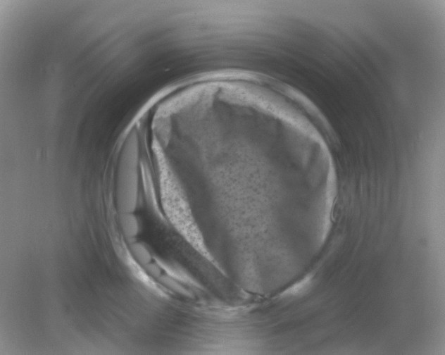 X0000081410860200701261822