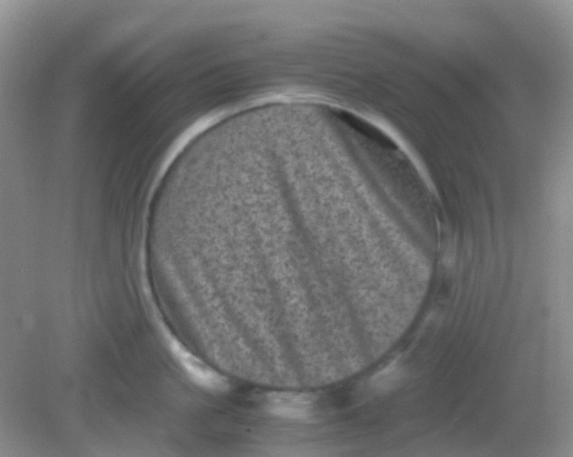 X0000081410861200701261822
