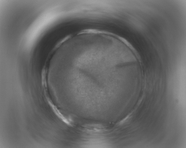 X0000081410862200701261822