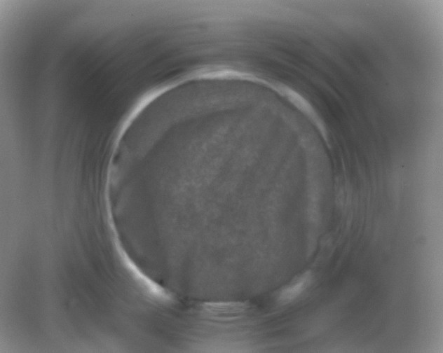 X0000081410863200701261822