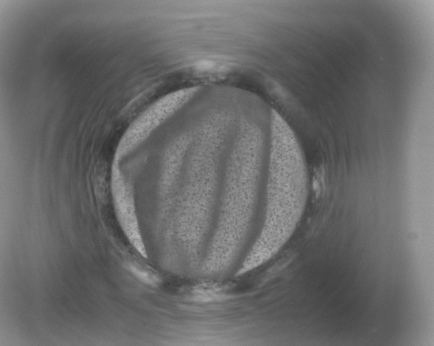 X0000081410867200701261821