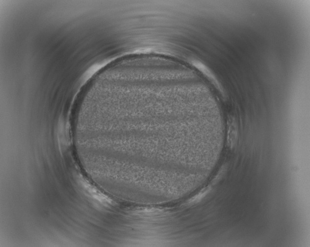 X0000081410876200701261821