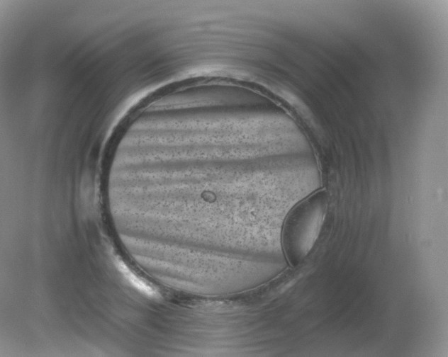 X0000081410880200701261821