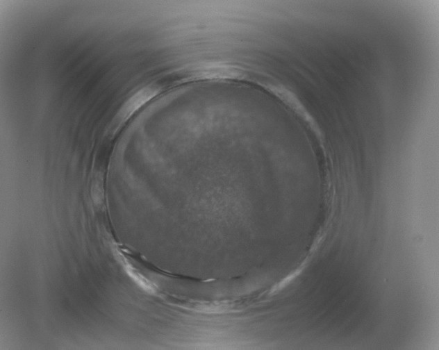 X0000081410889200701261821