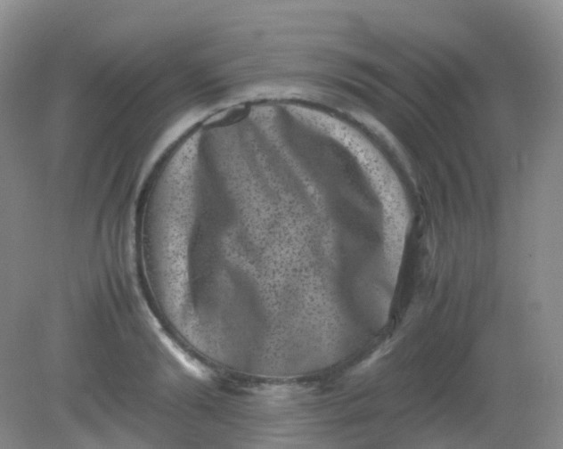X0000081410894200701261821
