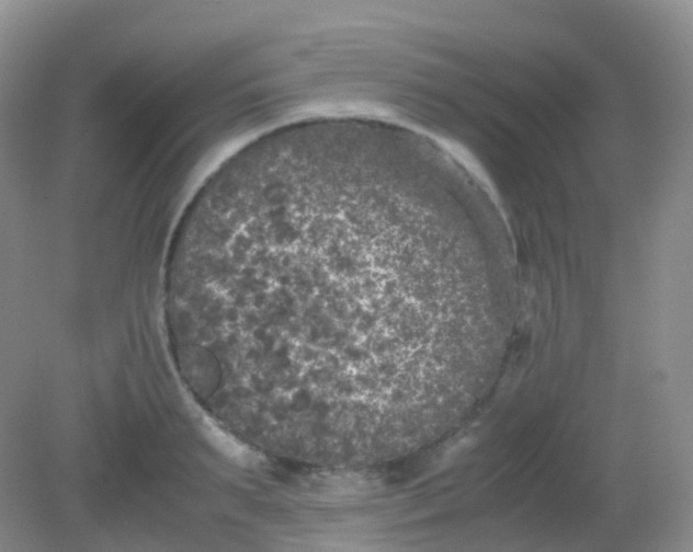X0000081410895200701261821