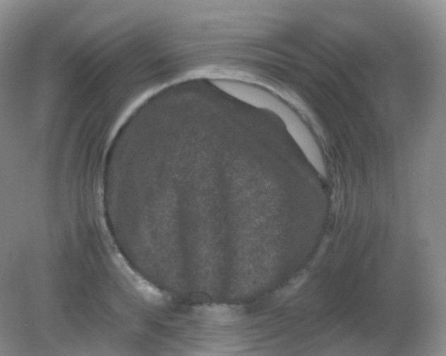 X0000081410896200701261821