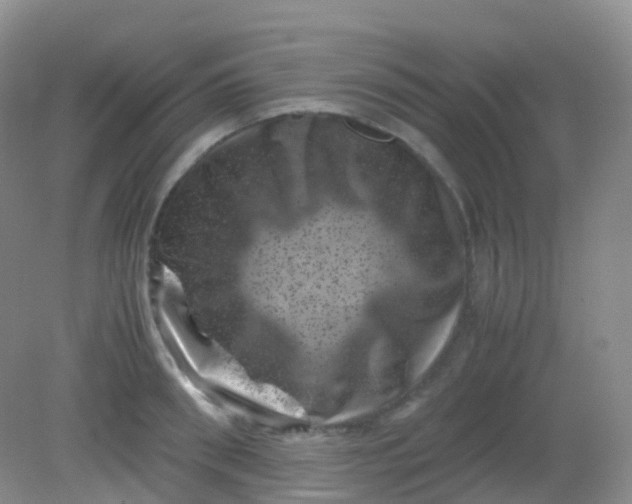 X0000081410898200701261821