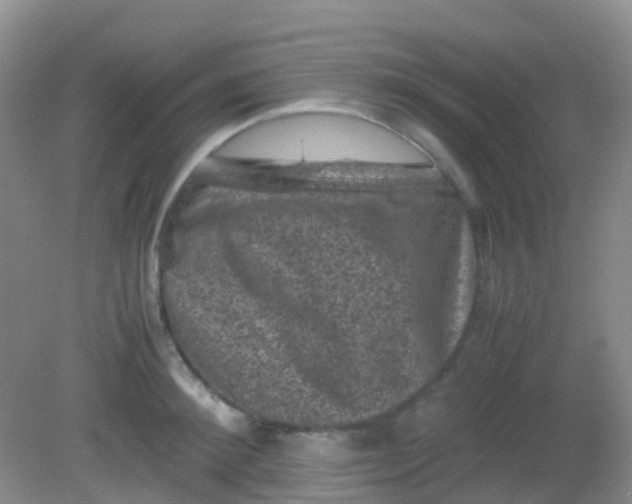 X0000081410900200701261821