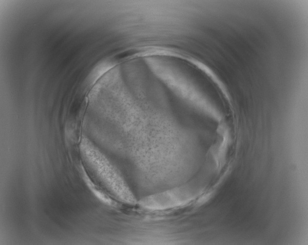 X0000081410905200701261821