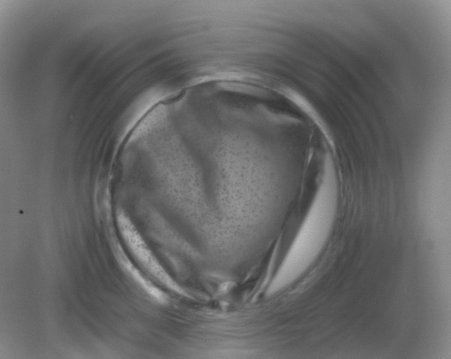X0000081410906200701261820