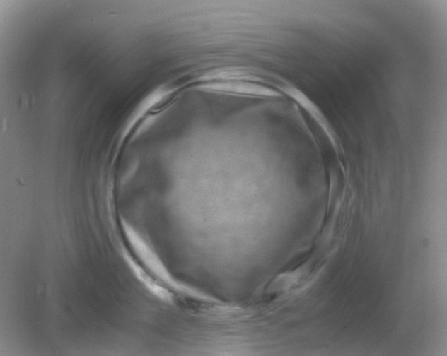 X0000081410909200701261820
