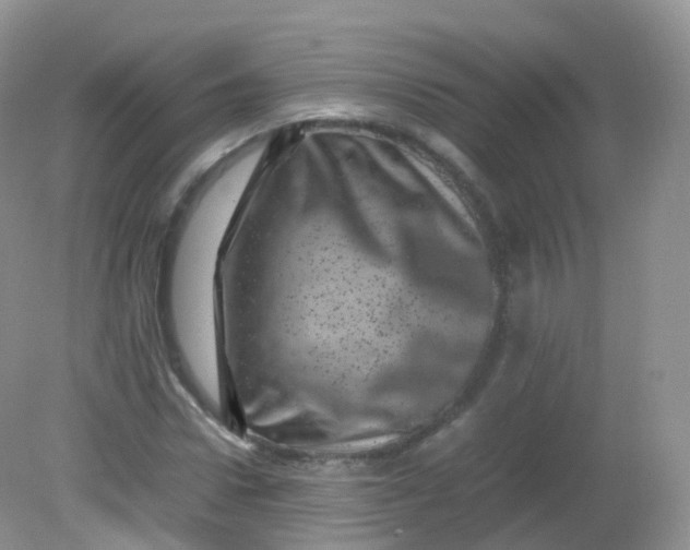 X0000081410922200701261820