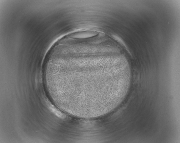 X0000081410924200701261820