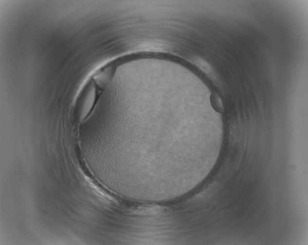 X0000081410926200701261820