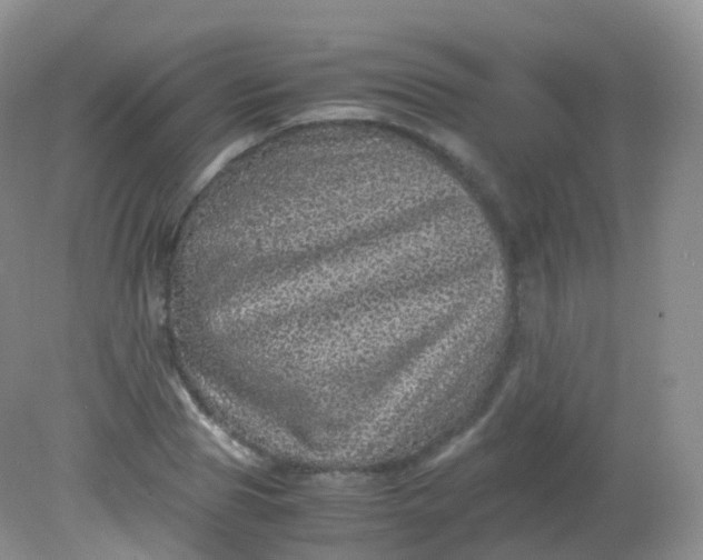 X0000081410929200701261820