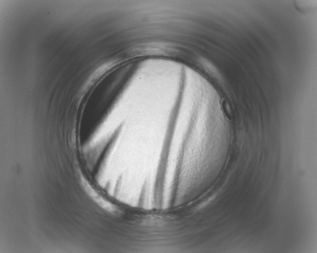 X0000081410938200701261820