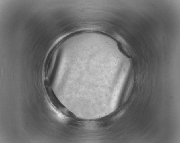 X0000081410940200701261820