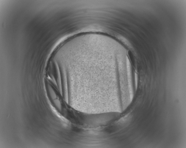 X0000081410942200701261820