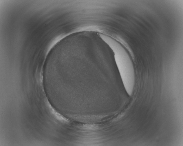 X0000081410944200701261820