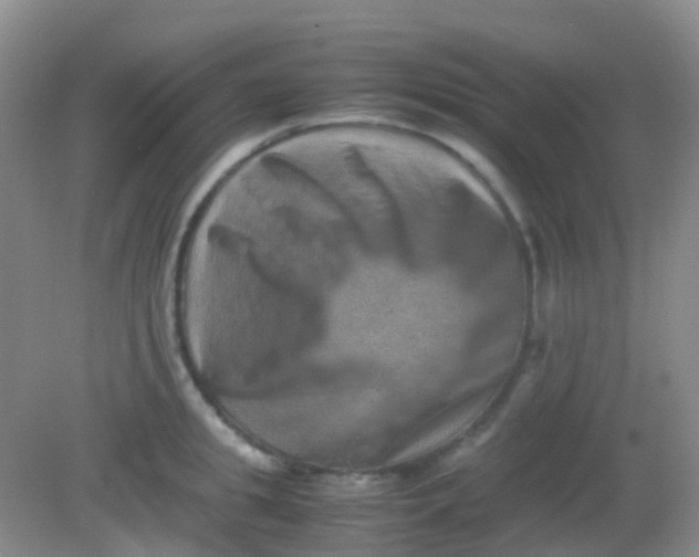 X0000081410949200701261820