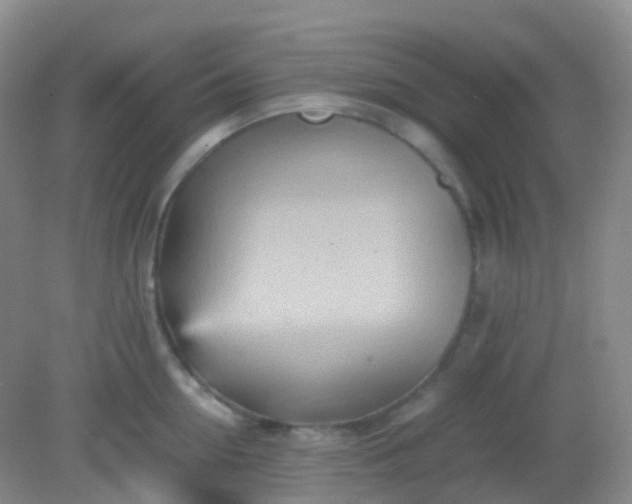 X0000081410954200701261820