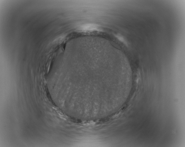 X0000081410965200701261819
