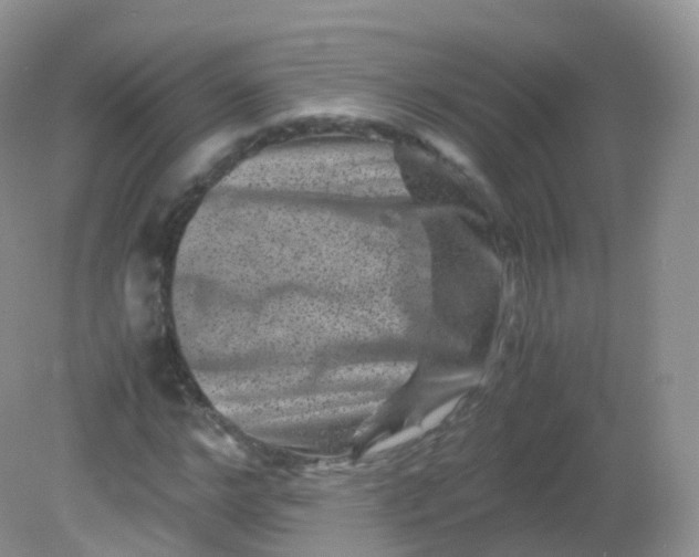 X0000081410968200701261819
