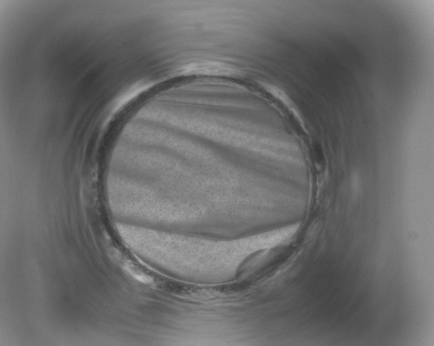 X0000081410971200701261819