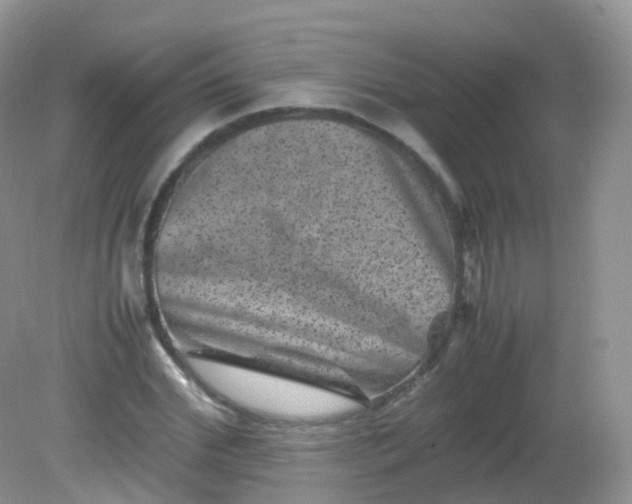 X0000081410972200701261819