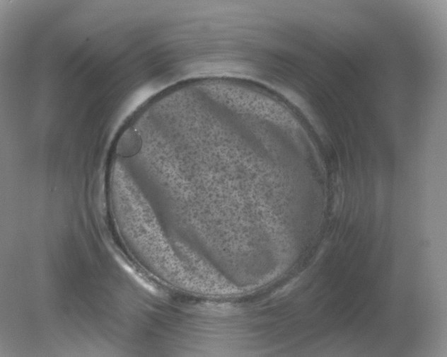 X0000081410982200701261819