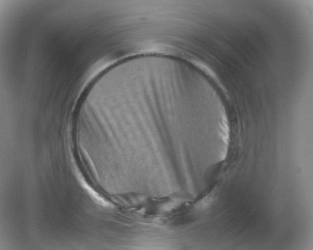 X0000081410991200701261819