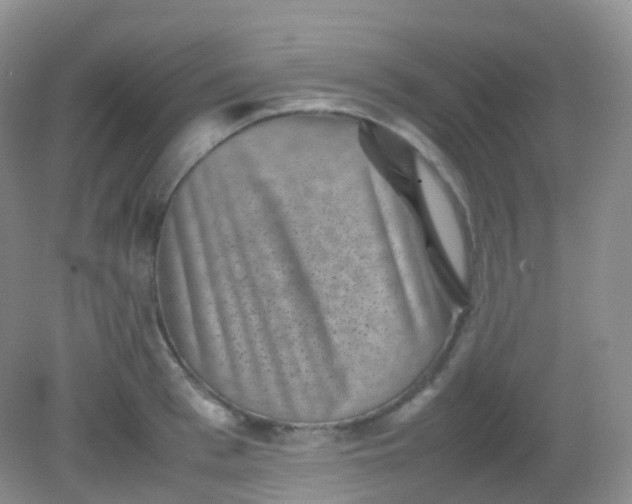 X0000081410993200701261819