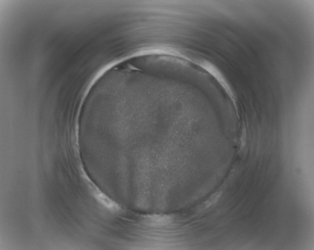 X0000081410996200701261819