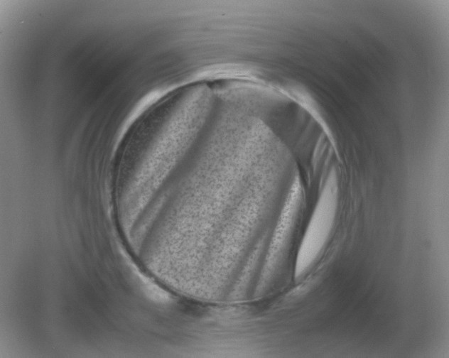 X0000081410997200701261819