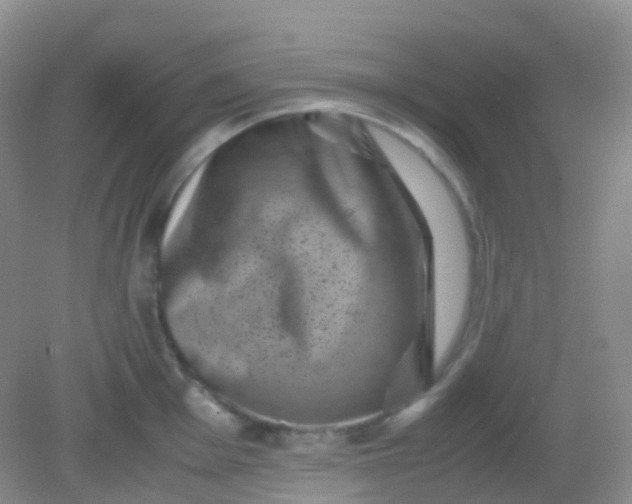 X0000081411001200701261819