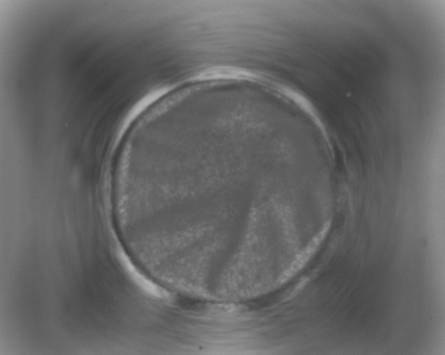 X0000081411003200701261819