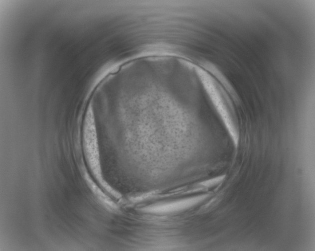 X0000081411004200701261819