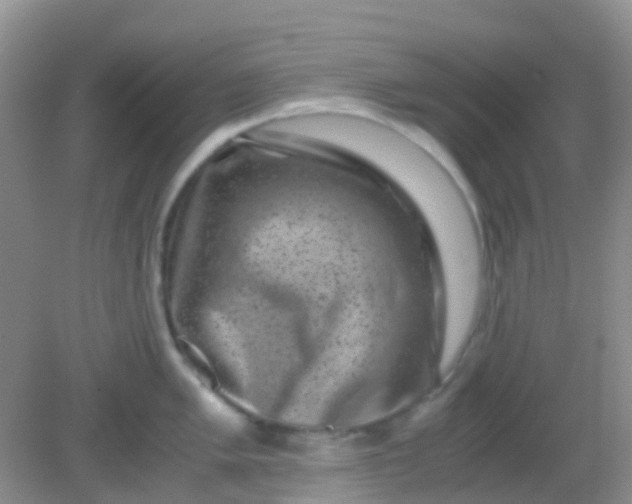 X0000081411005200701261819