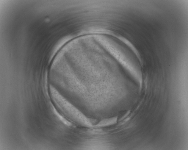 X0000081411006200701261819