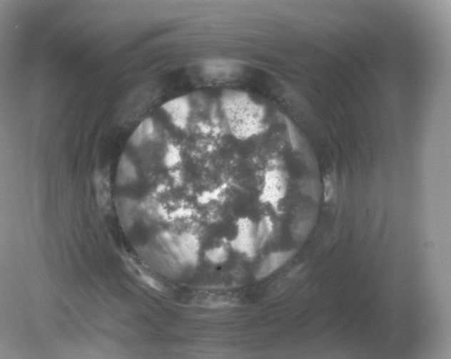 X0000081411011200701261818