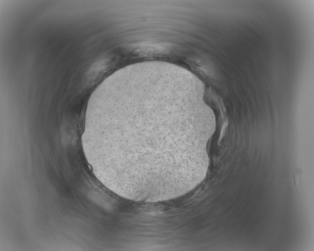 X0000081411012200701261818