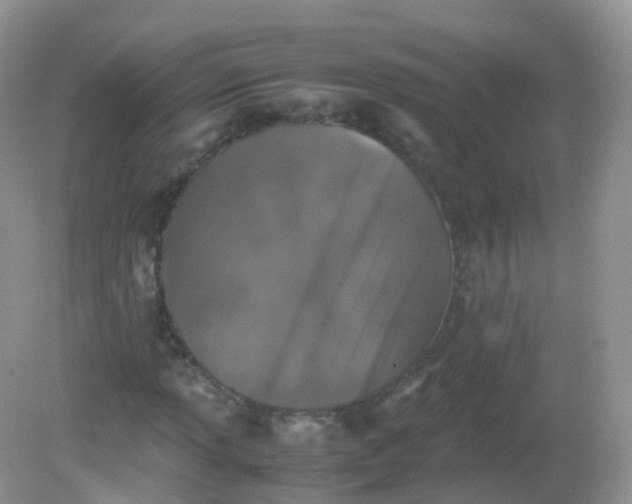 X0000081411013200701261818
