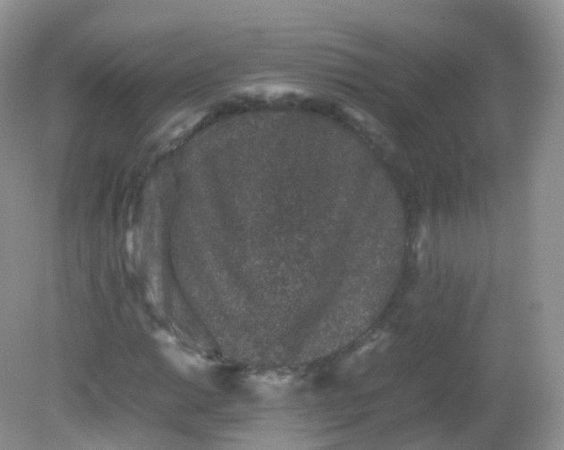 X0000081411014200701261818