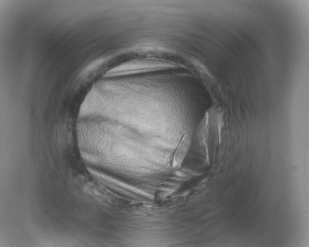 X0000081411016200701261818