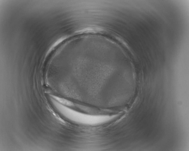 X0000081411018200701261818