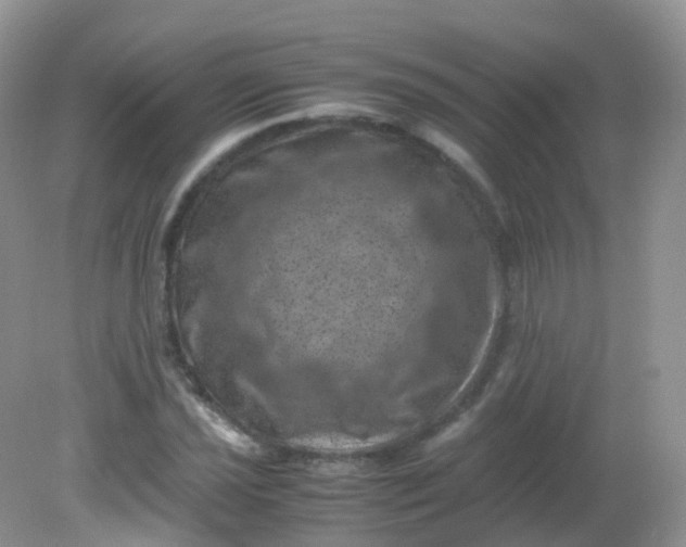 X0000081411021200701261818